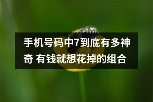 手机号码中7到底有多神奇 有钱就想花掉的组合